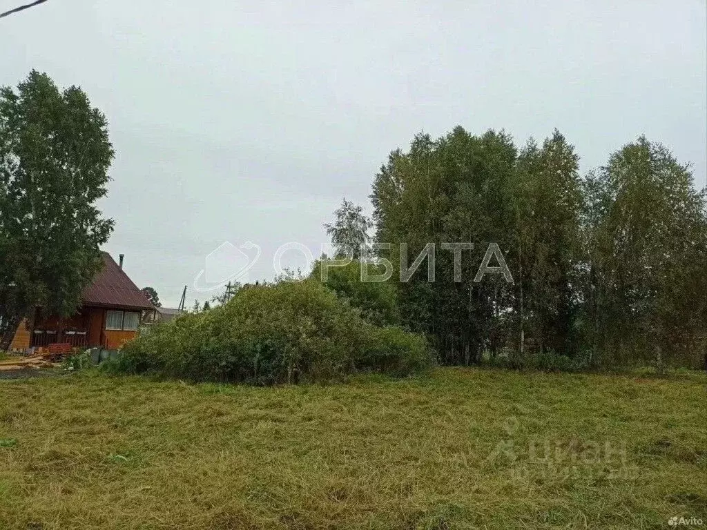 Участок в Тюменская область, Нижнетавдинский муниципальный округ, ... - Фото 2