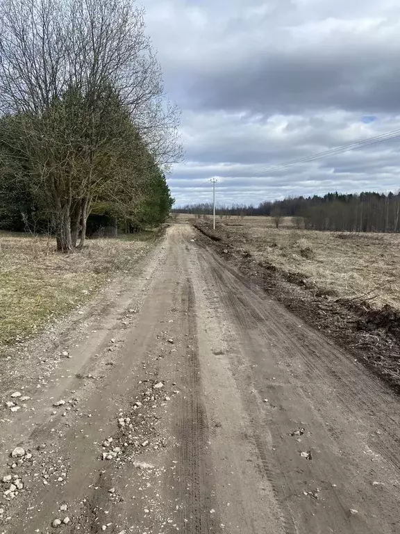Участок 15,5 сот. (ИЖС) - Фото 1