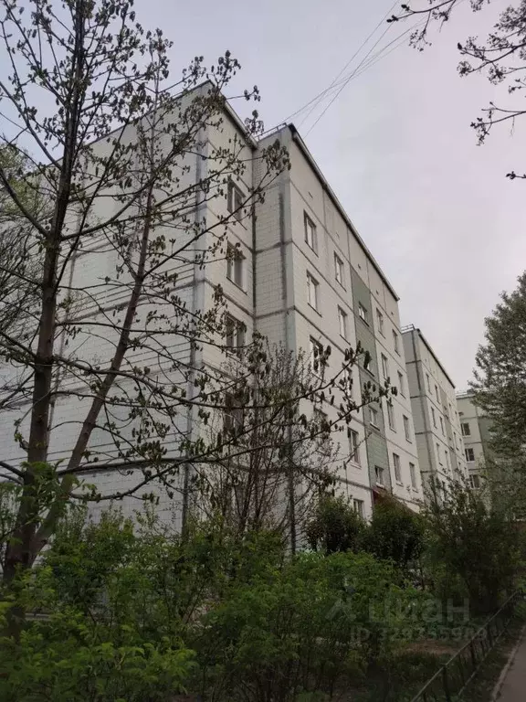 3-к кв. Санкт-Петербург пос. Шушары, Пушкинская ул., 24 (65.0 м) - Фото 1