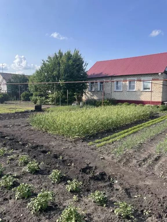 Дом в Тамбовская область, Никифоровский муниципальный округ, пос. ... - Фото 1