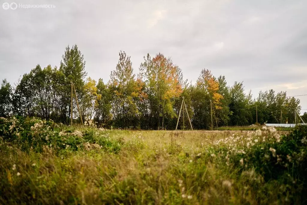 Участок в деревня Заборье, квартал Сержанта Шолева (9.85 м) - Фото 1
