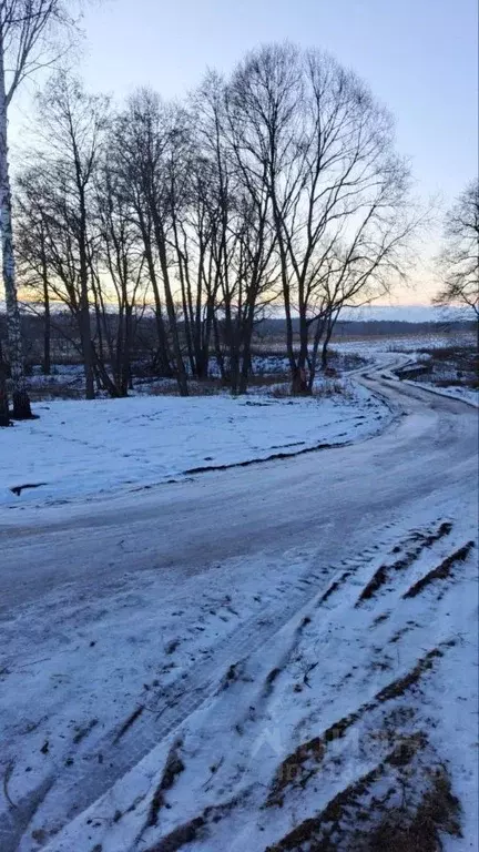 Участок в Московская область, Ступино городской округ, д. Хирино ул. ... - Фото 1
