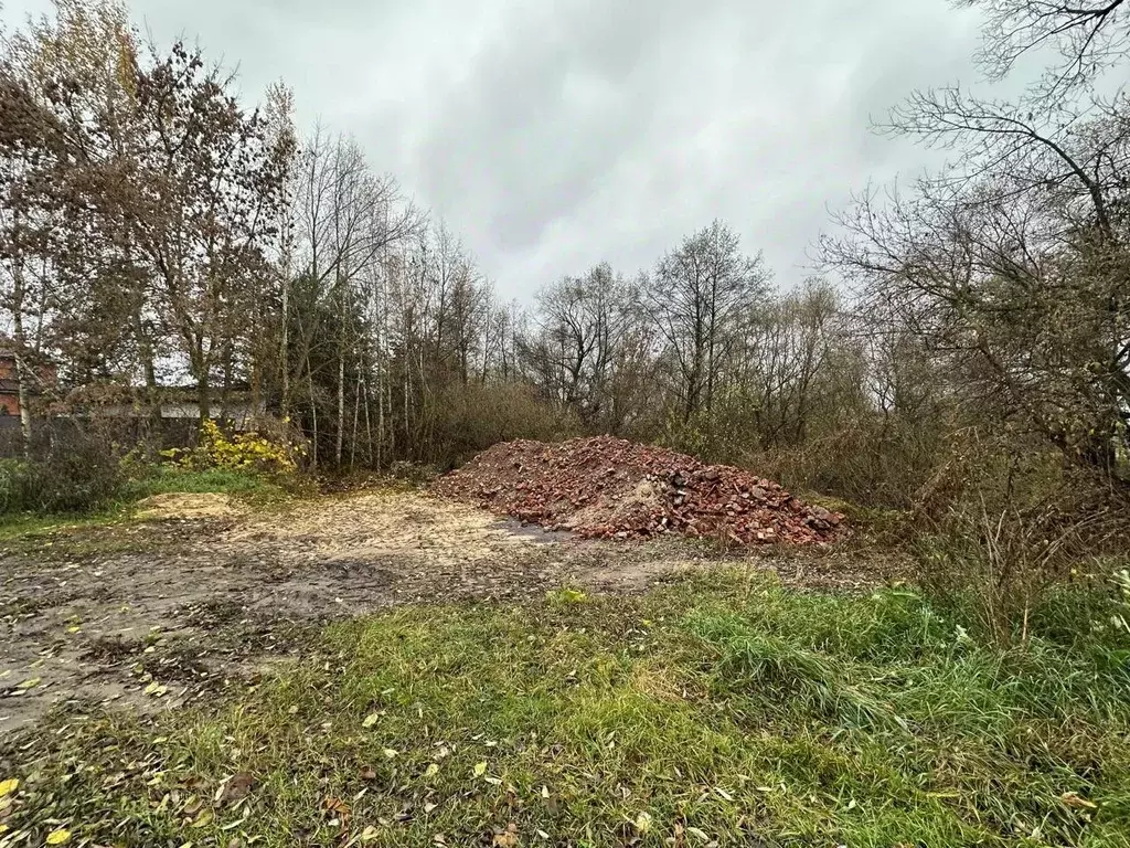 Участок в Московская область, Луховицы муниципальный округ, Белоомут ... - Фото 2