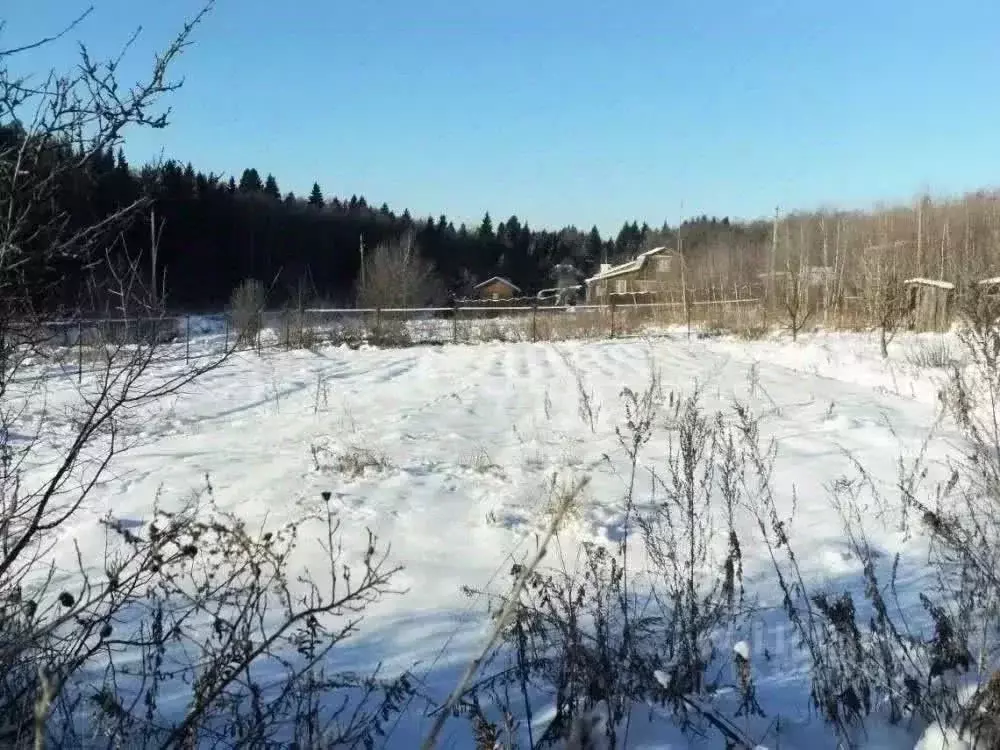 Участок в Сахалинская область, Южно-Сахалинск Здоровье СНТ,  (9.95 ... - Фото 2