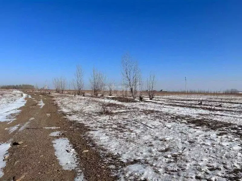 Участок в Забайкальский край, Читинский район, Раздольное ДНТ ул. ... - Фото 0