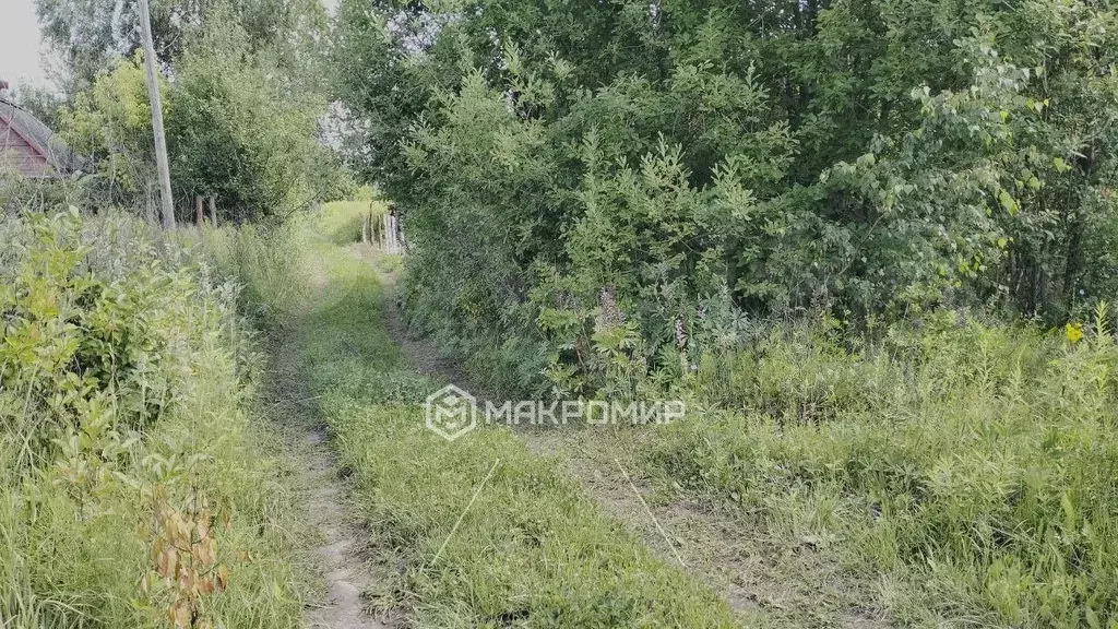 Участок 6 сот. (СНТ, ДНП) - Фото 0