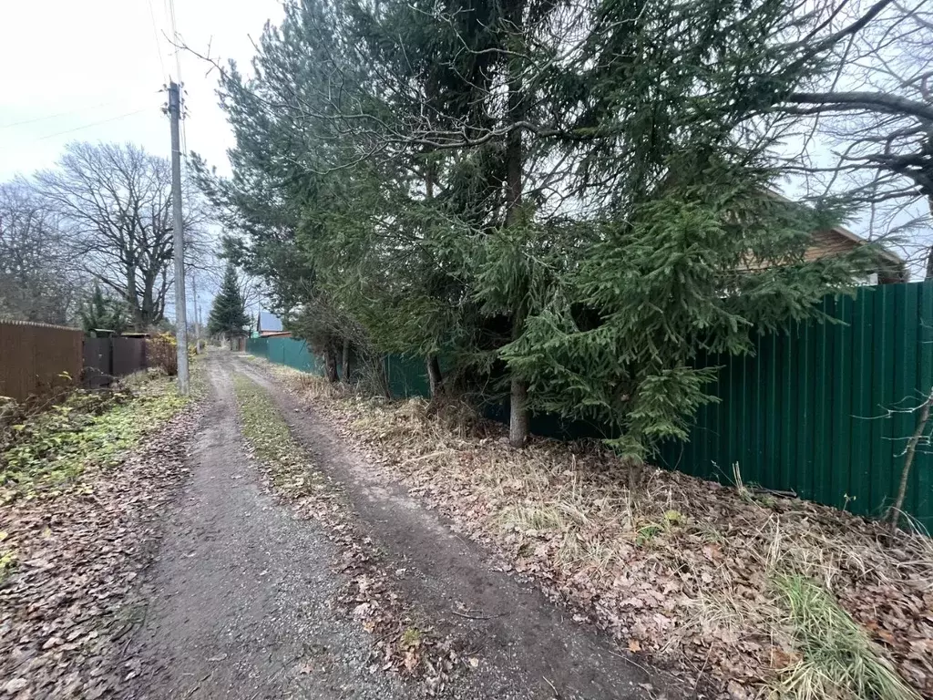 Участок в Московская область, Богородский городской округ, Первомаец ... - Фото 2