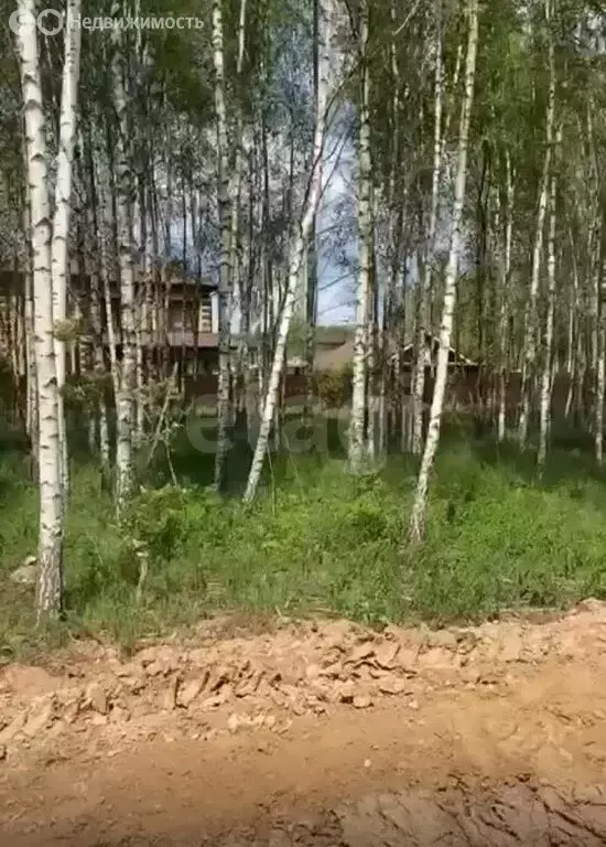 Участок в Московская область, муниципальный округ Чехов, село Дубна ... - Фото 1