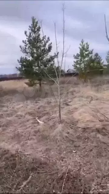 Участок 15 сот. (ИЖС) - Фото 1