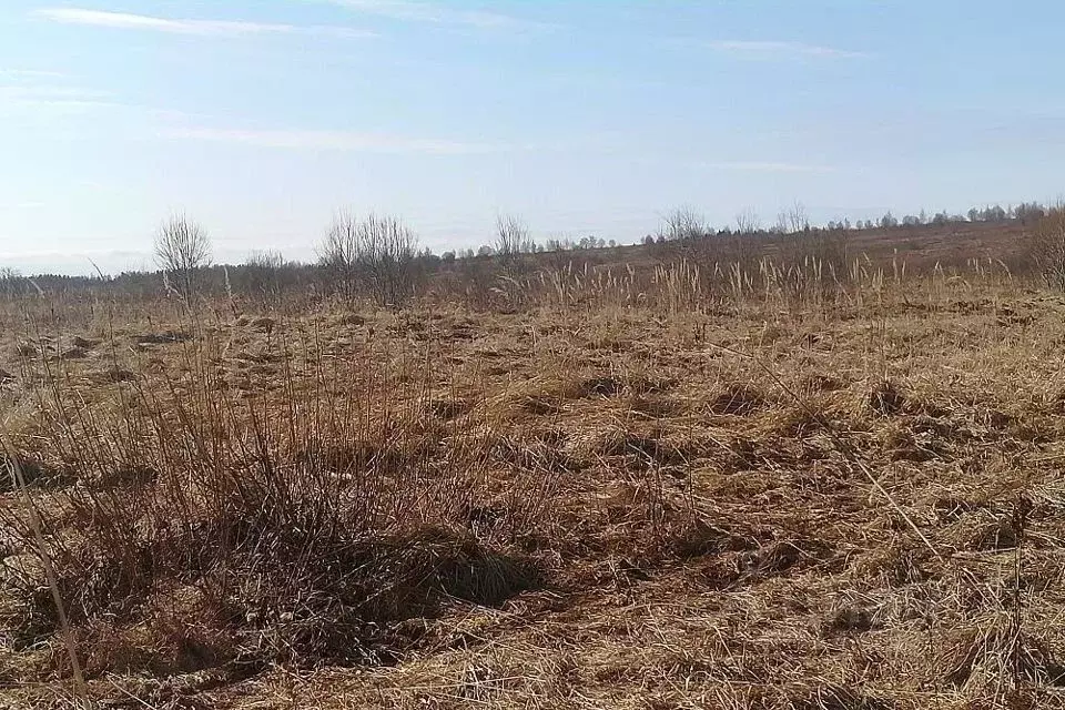 Участок в Тверская область, Калининский муниципальный округ, пос. ... - Фото 0
