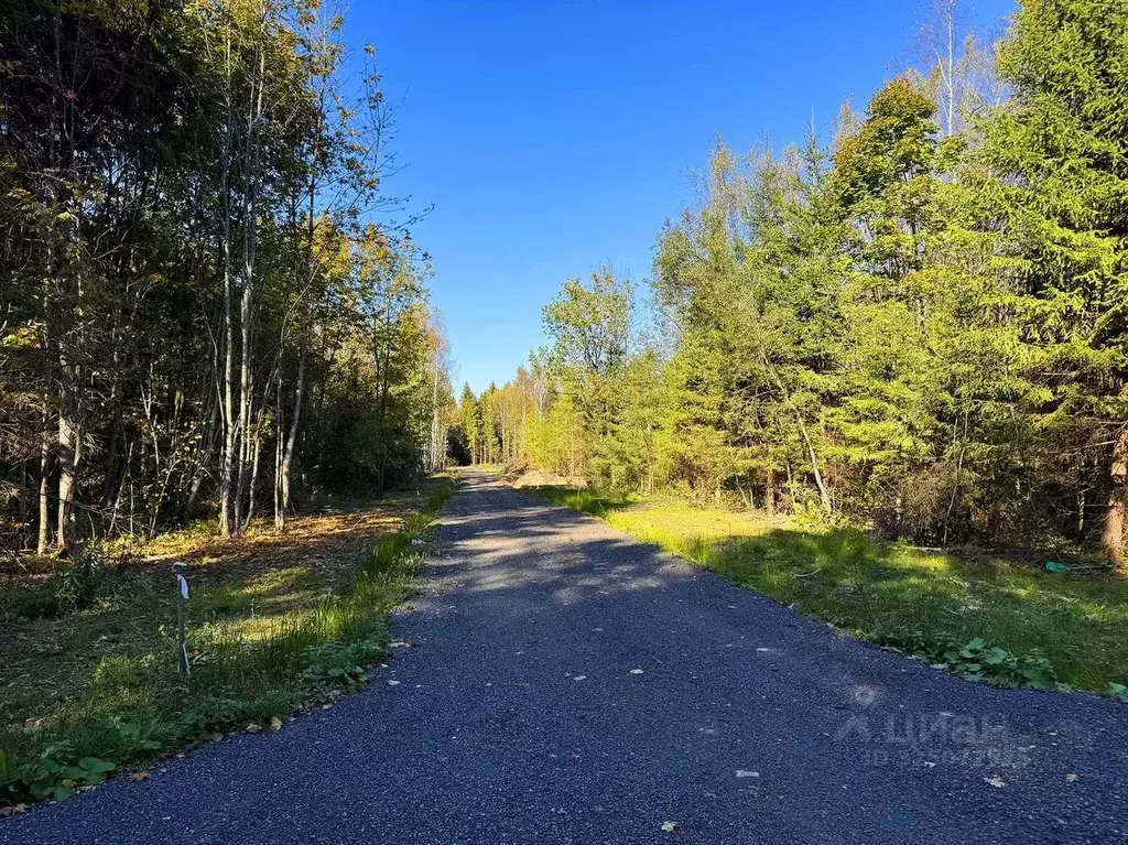 Участок в Московская область, Дмитровский муниципальный округ, ... - Фото 0