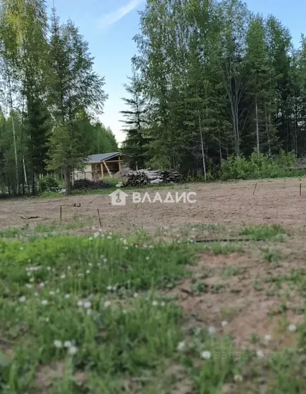 Участок в Пермский край, Пермский муниципальный округ, пос. Красный ... - Фото 2