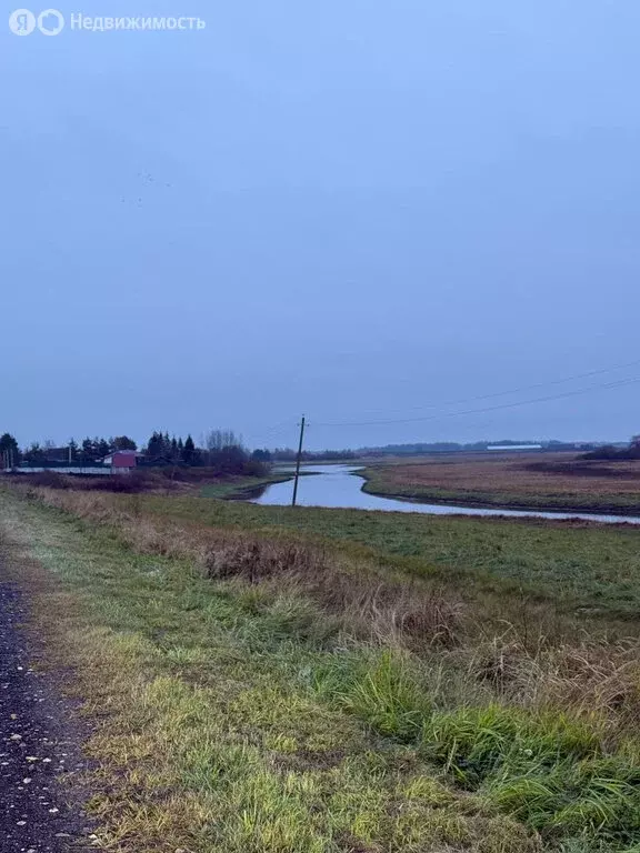 Участок в Савинское сельское поселение, деревня Робейка (14.5 м) - Фото 1