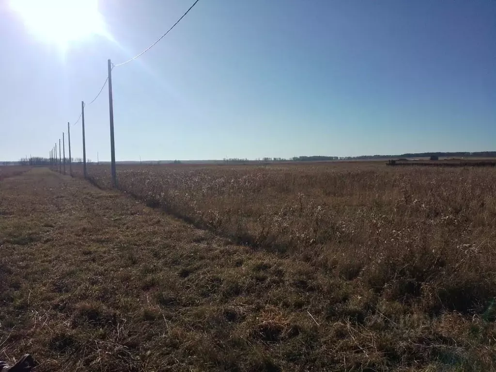 Участок в Красноярский край, Емельяновский муниципальный округ, с. ... - Фото 2