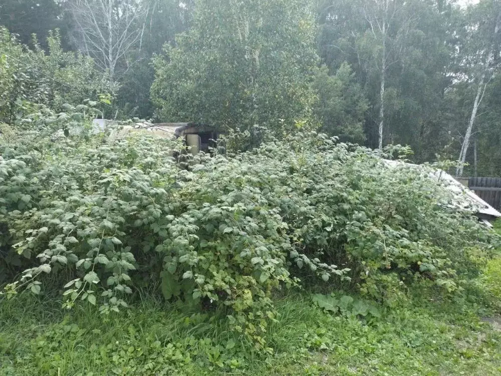 Дом в Иркутская область, Иркутский муниципальный округ, Зеленое СНТ ... - Фото 2