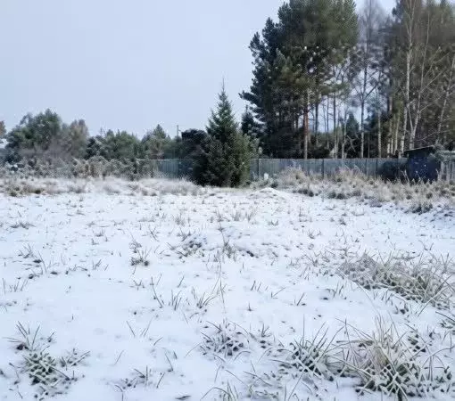 Участок в Ярославская область, Некрасовский муниципальный округ, ... - Фото 1