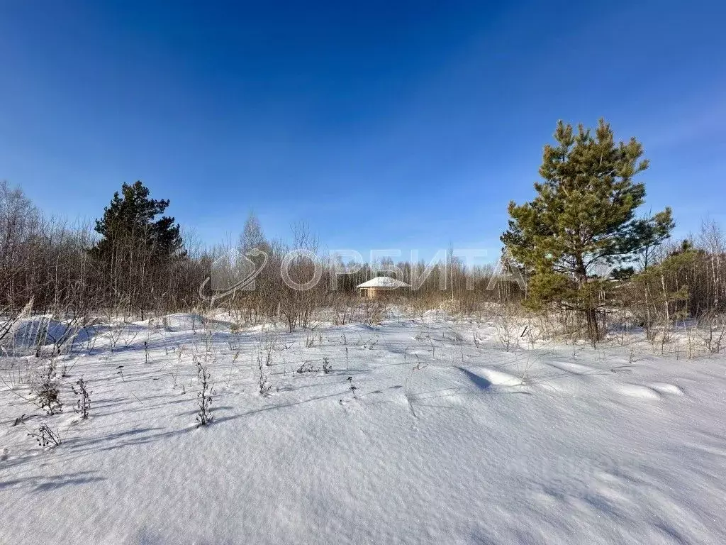 Участок в Тюменская область, Нижнетавдинский муниципальный округ, с. ... - Фото 1