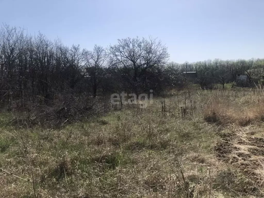 Участок в Белгородская область, Белгородский район, Тавровское с/пос, ... - Фото 0