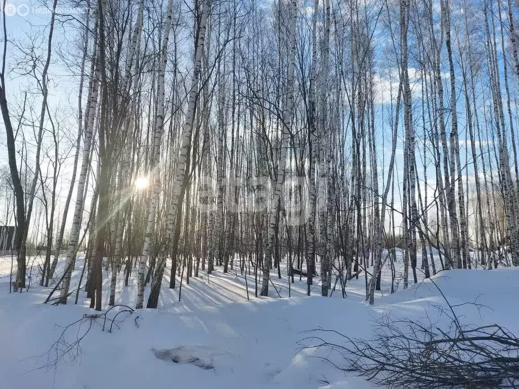 Участок в Плавский район, муниципальное образование Пригородное, село ... - Фото 1