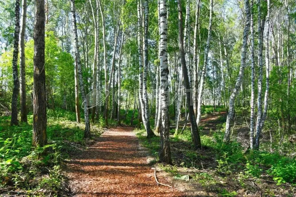 Участок в Тюменская область, Тюменский район, с. Кулига  (5.5 сот.) - Фото 1