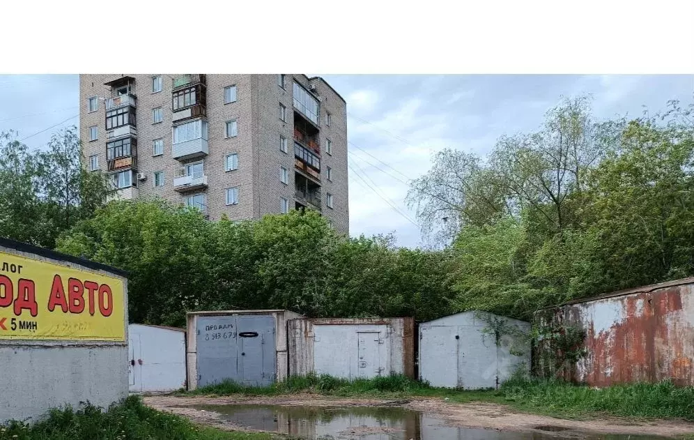 Гараж в Омская область, Омск ул. Калинина, 6/2 (23 м) - Фото 1