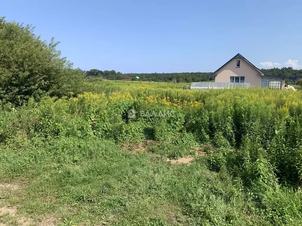 Участок в Калининградская область, Светлогорск Радуга СНТ, 17-я линия, ... - Фото 2