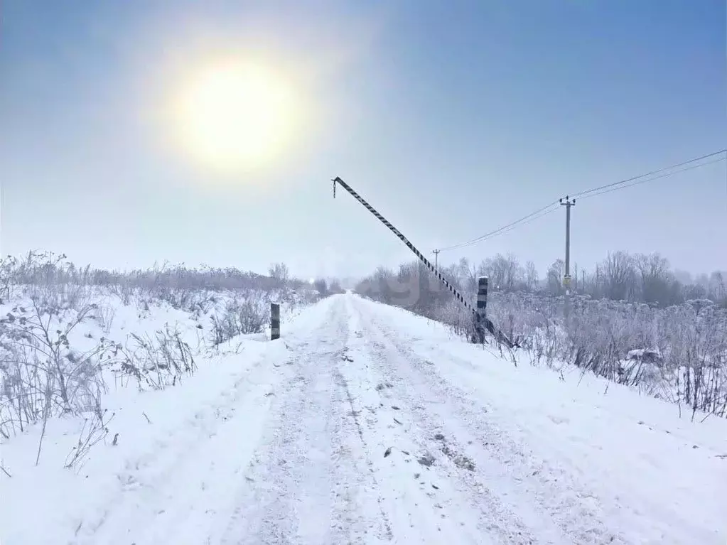Участок в Ленинградская область, Волховский район, Староладожское ... - Фото 1