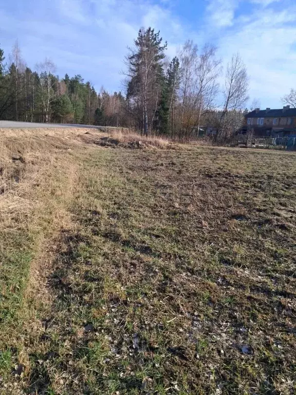 Участок в Московская область, Орехово-Зуевский городской округ, д. ... - Фото 1