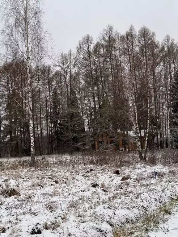 Участок в Московская область, Истра муниципальный округ, д. Алехново  ... - Фото 1