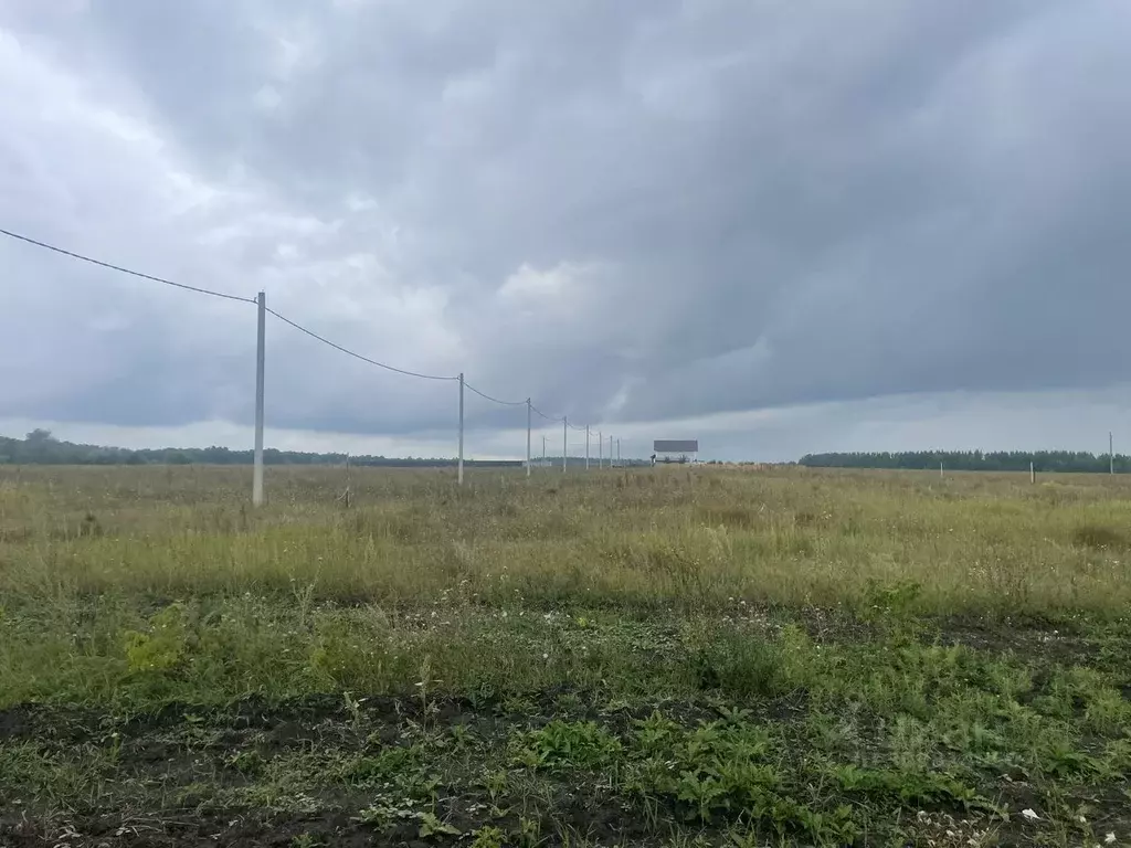 Участок в Самарская область, Красноярский район, с. Старая Бинарадка ... - Фото 1