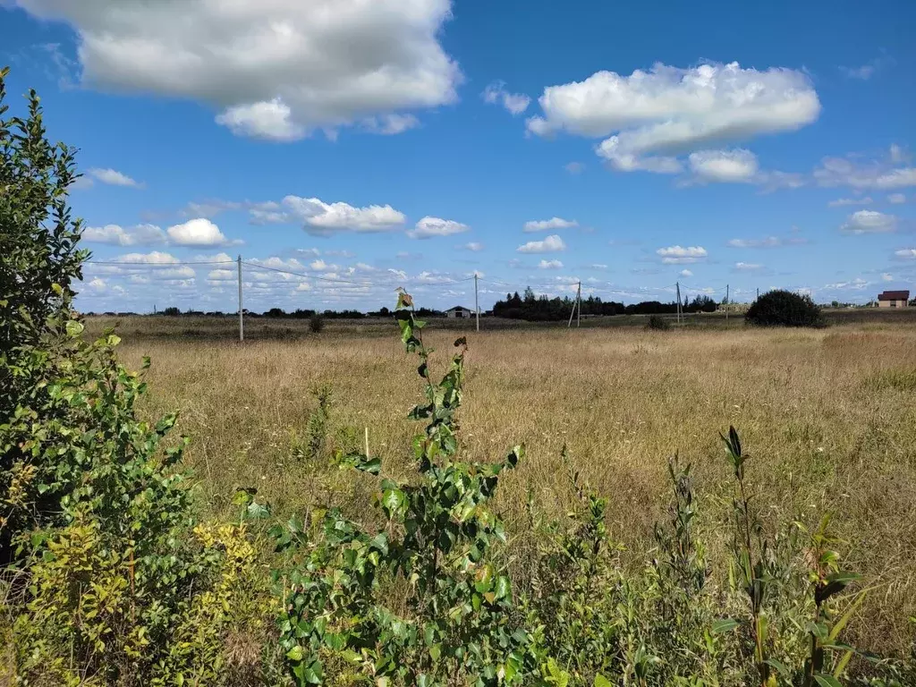 Участок в Новгородская область, Новгородский район, Ракомское с/пос, ... - Фото 1