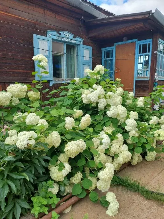 Дом в Алтайский край, Новоалтайск Белоярская ул. (72 м) - Фото 1