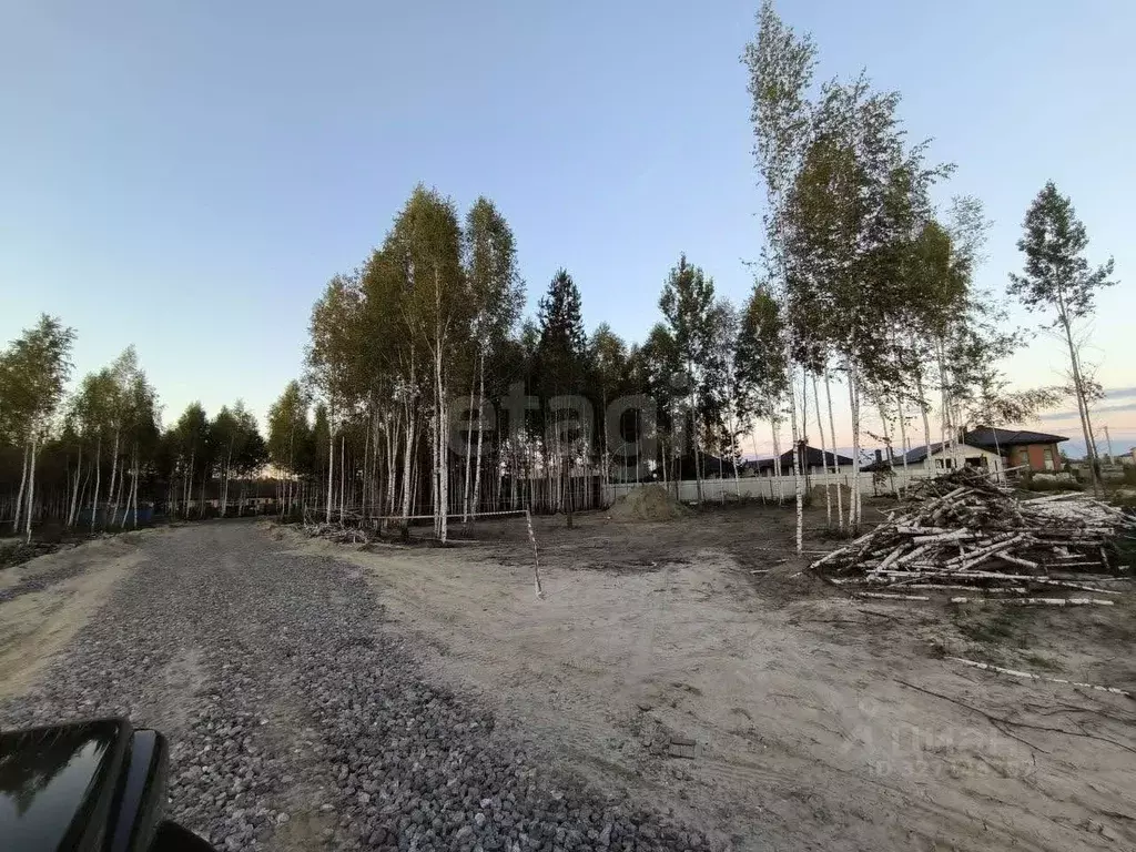 Участок в Тюменская область, Тюмень ул. Рублевская (10.0 сот.) - Фото 1