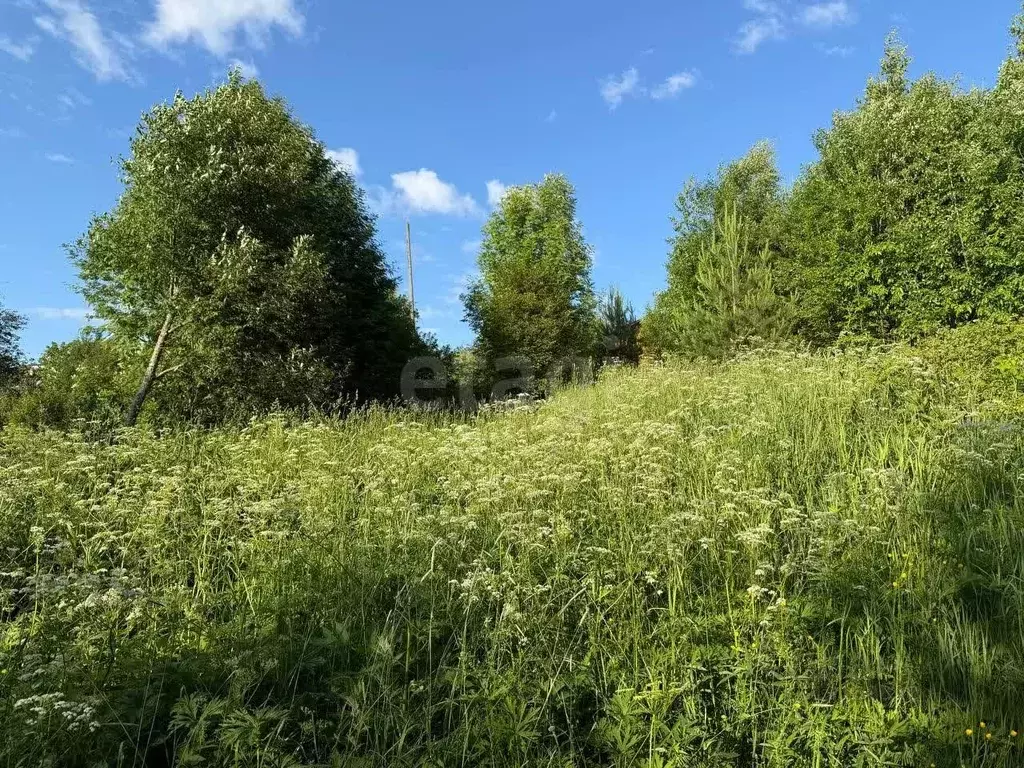 Участок в Вологодская область, Великоустюгский муниципальный округ, ... - Фото 1