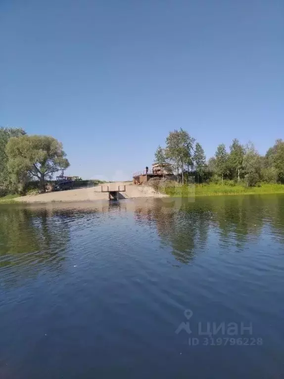 Участок в Новосибирская область, Колыванский район, Сибирская Волость ... - Фото 1