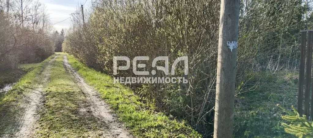 Участок в Ленинградская область, Гатчинский муниципальный округ, ... - Фото 2