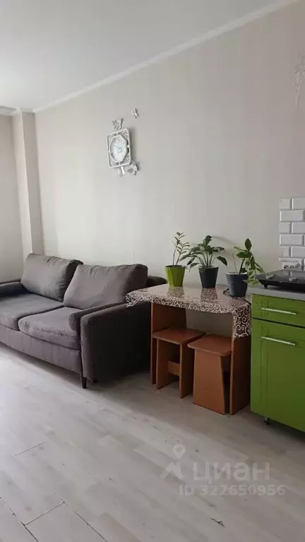 Студия Красноярский край, Красноярск Соколовская ул., 80А (27.0 м) - Фото 0