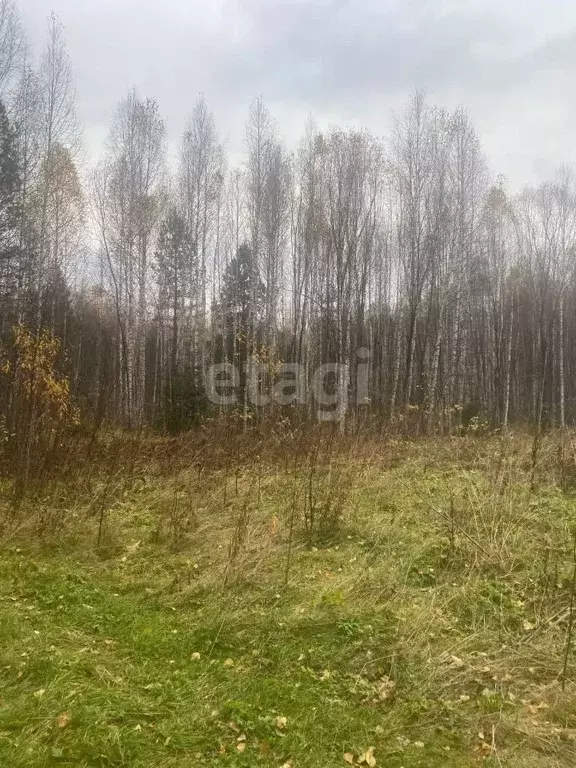 Участок в Алтай, Турочакский район, с. Усть-Лебедь ул. Речная (100.0 ... - Фото 1