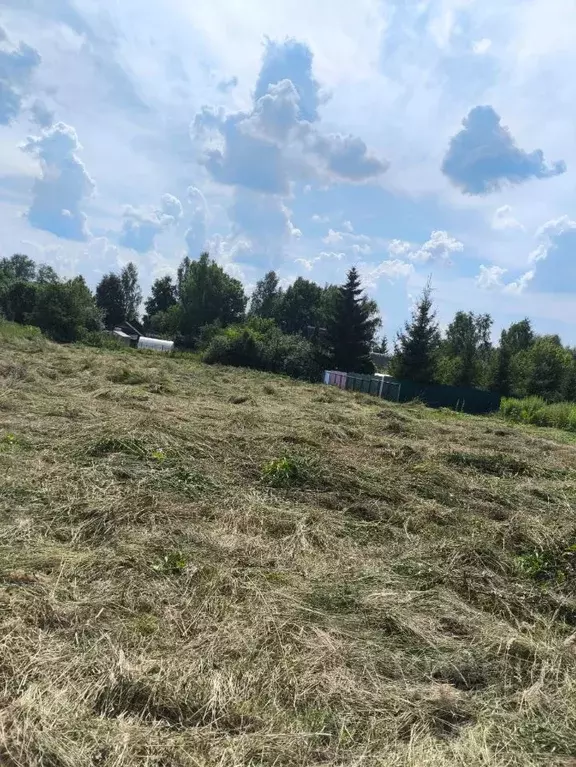 Участок в Нижегородская область, Балахнинский муниципальный округ, д. ... - Фото 1
