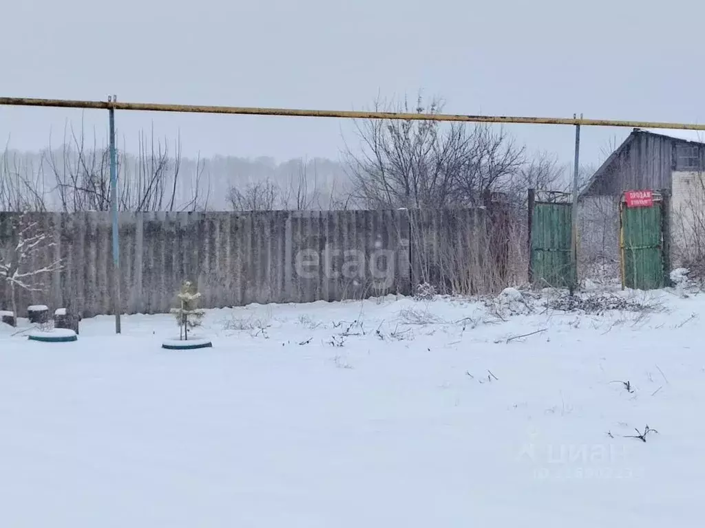 Участок в Белгородская область, Красногвардейский район, ... - Фото 0