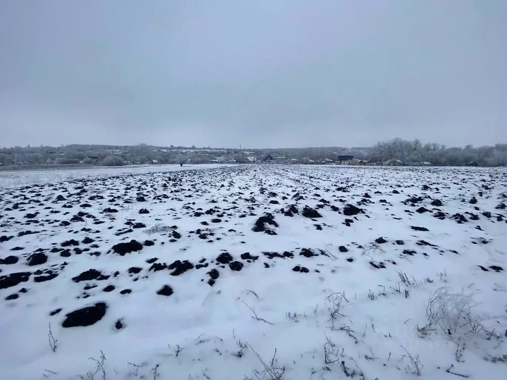 Участок в Воронежская область, Семилукский район, с. Медвежье Заречная ... - Фото 0