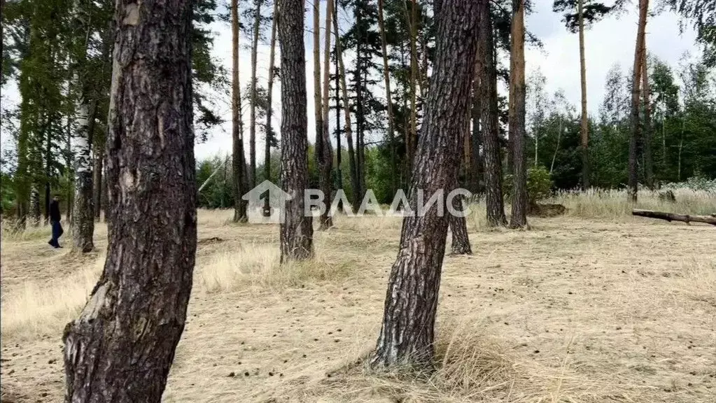 Участок в Нижегородская область, Городецкий муниципальный округ, д. ... - Фото 2
