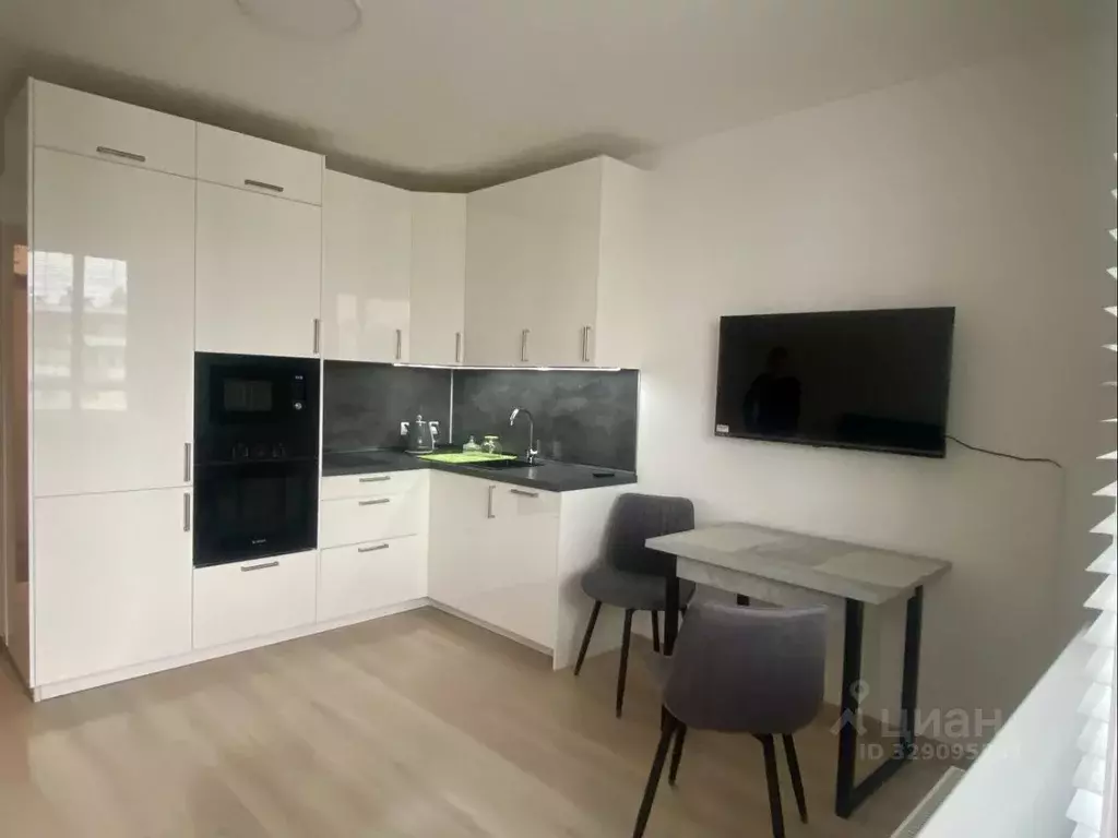 Студия Санкт-Петербург пос. Шушары, просп. Старорусский, 13к2 (23.9 м) - Фото 1