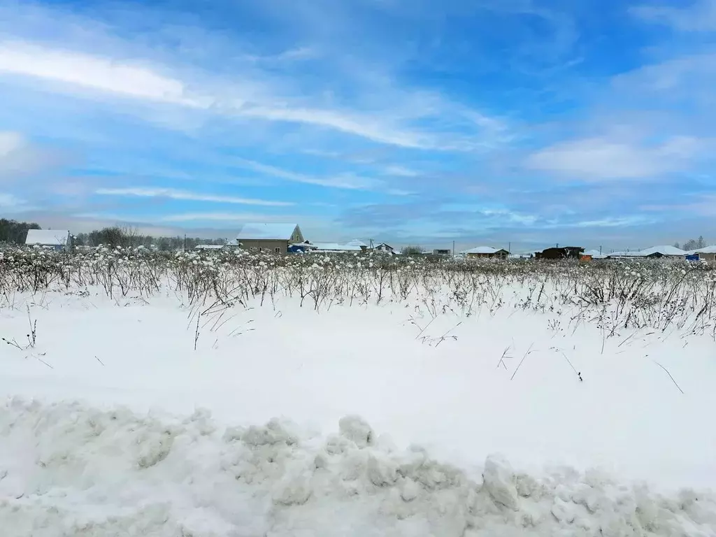 Участок в Московская область, Раменский муниципальный округ, с. ... - Фото 2