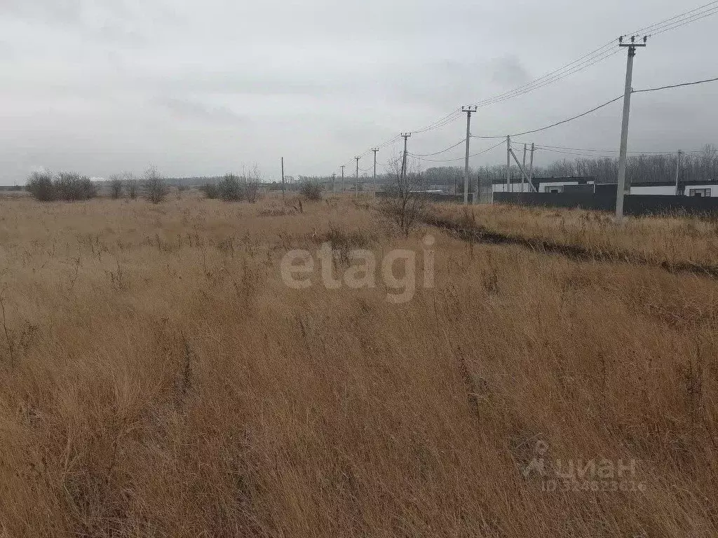 Участок в Ульяновская область, Ульяновск городской округ, с. Лаишевка  ... - Фото 2