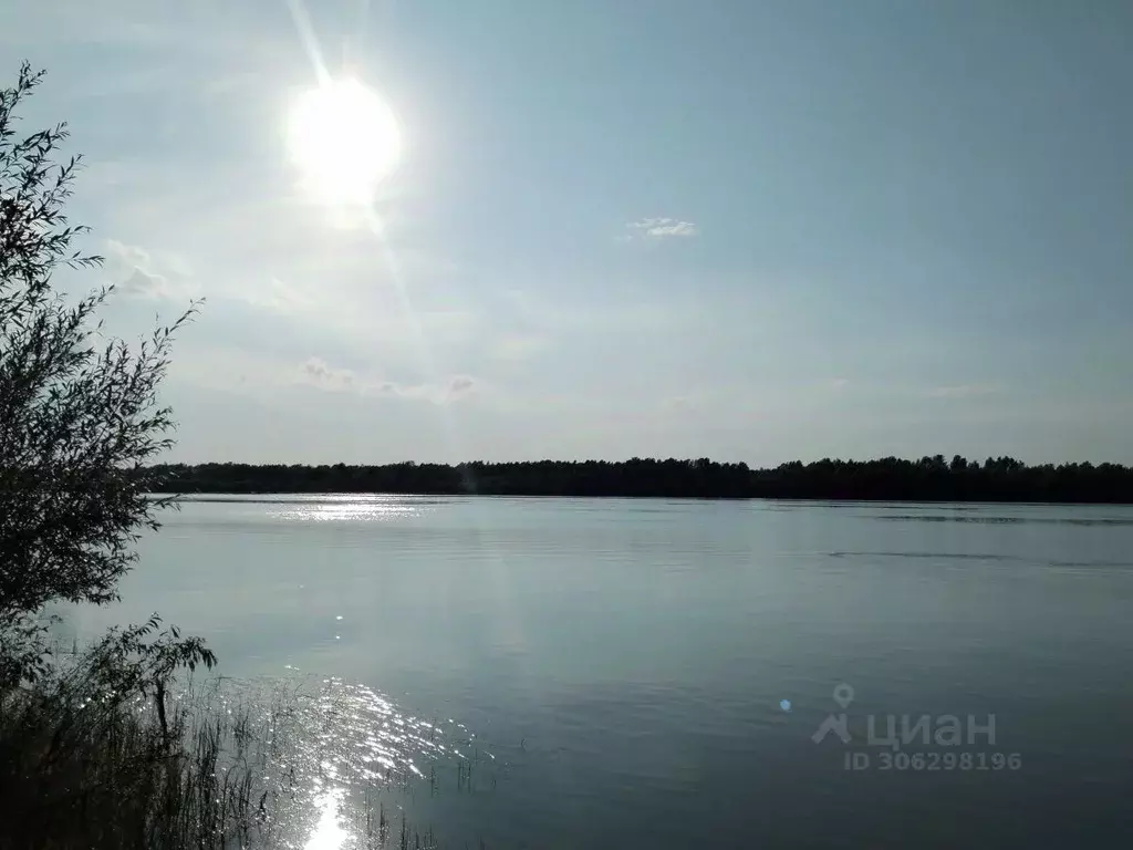 Участок в Новосибирская область, Мошковский район, с. Белоярка ул. ... - Фото 1