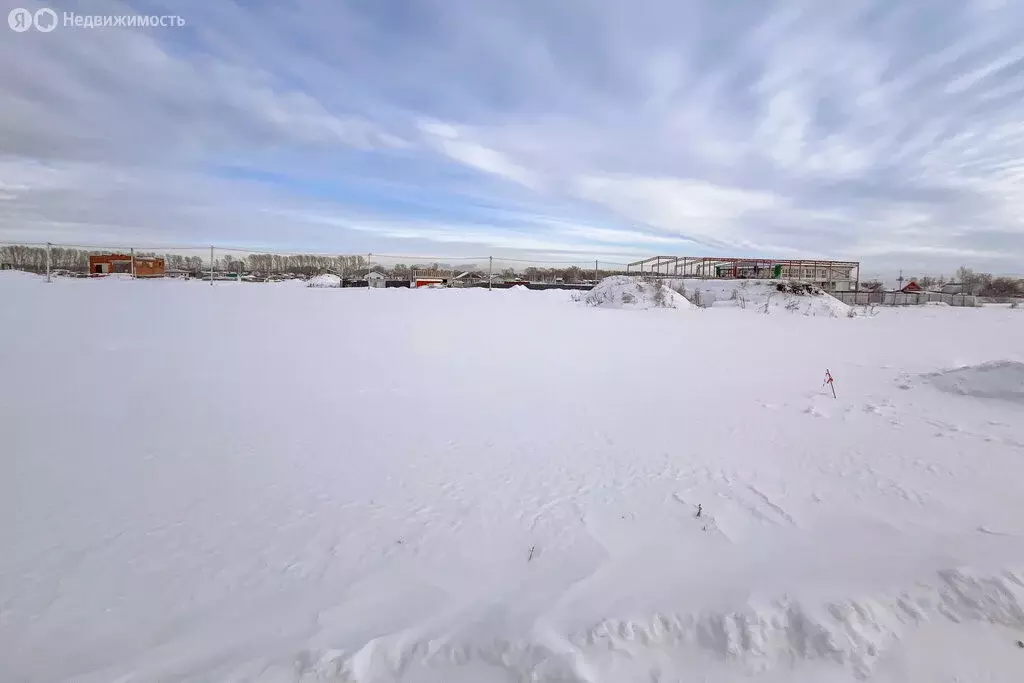 Участок в Новосибирский район, Морской сельсовет, село Ленинское ... - Фото 2