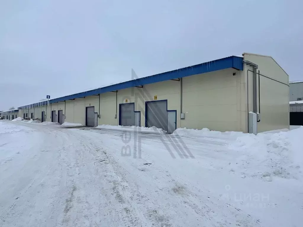 Помещение свободного назначения в Воронежская область, Рамонский ... - Фото 1