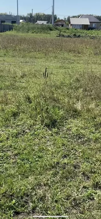 Участок в Новосибирская область, Искитимский район, пос. ... - Фото 0