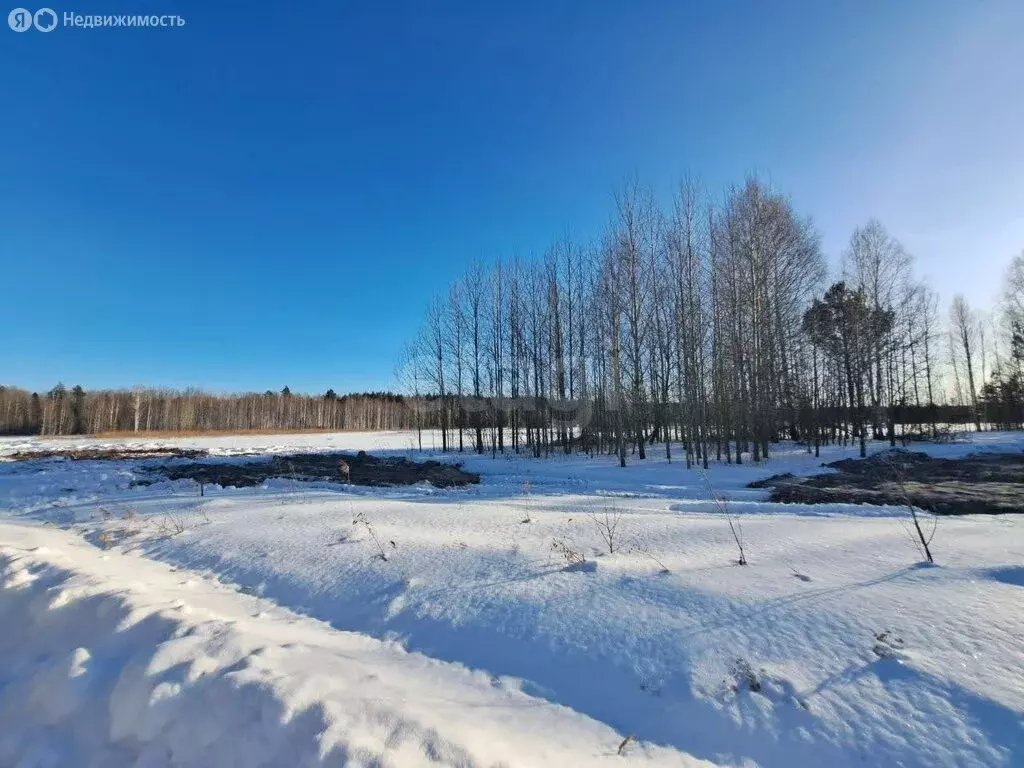 Участок в Нижнетавдинский район, садоводческое некоммерческое ... - Фото 0